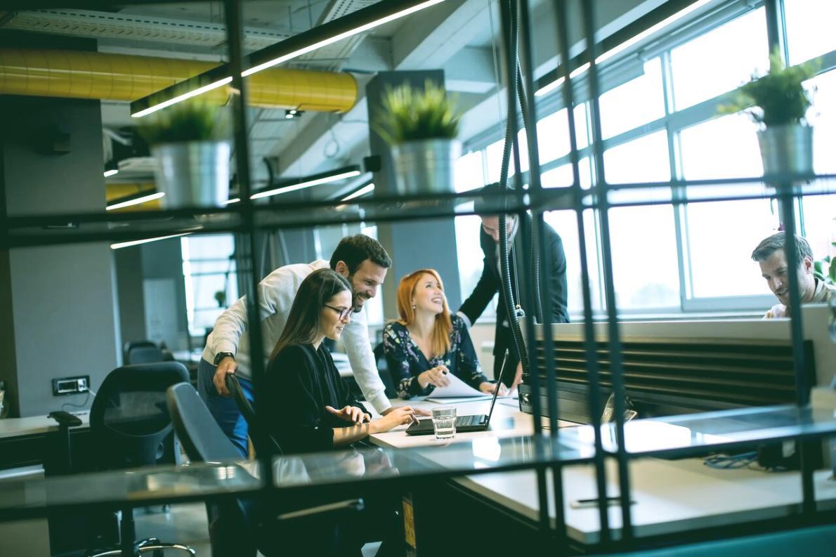 Espacio de trabajo profesional para desarrollo y testing